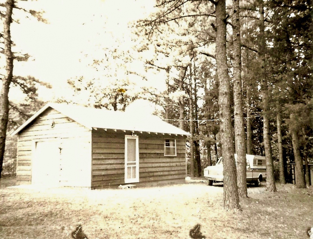 A small cabin beside a truck underneath a lot of tall pine trees.