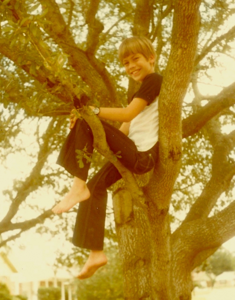 Smiling boy sitting up in a tree.