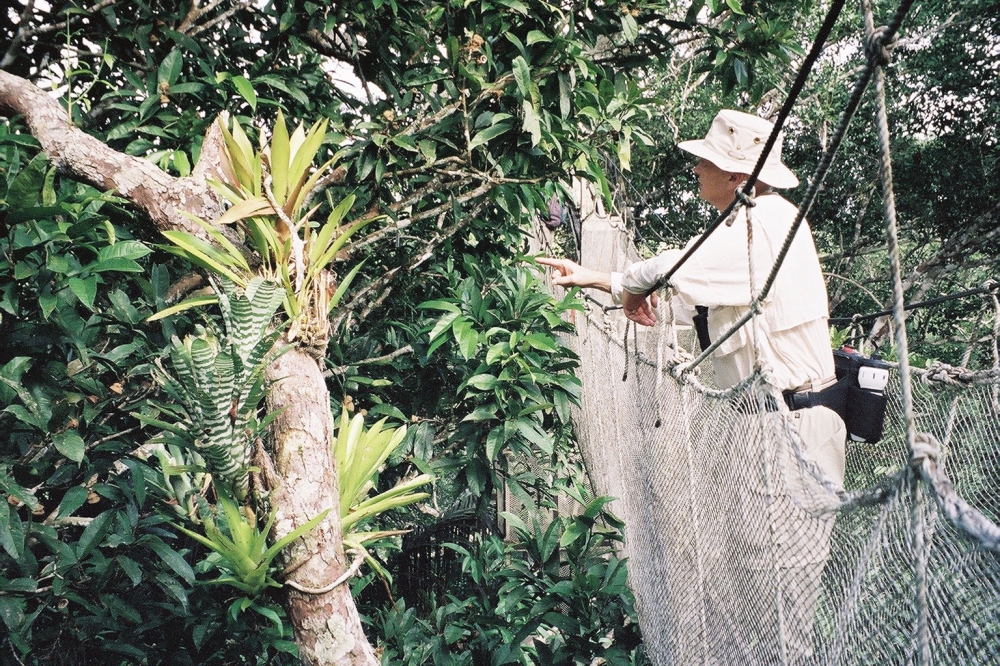 Monty Kester standing on the ACTS Canopy walkway in the Amazon rainforest and pointing to some of the plants growing at that elevation.