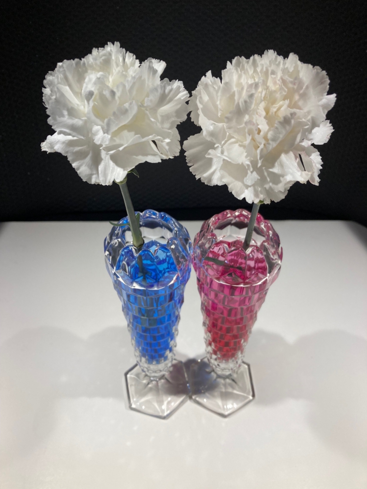 Two white carnations. One is in blue water and the other is in red water.