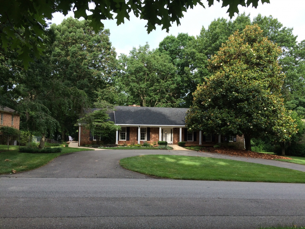 Large Magnolia Tree with white blooms in front of a house.