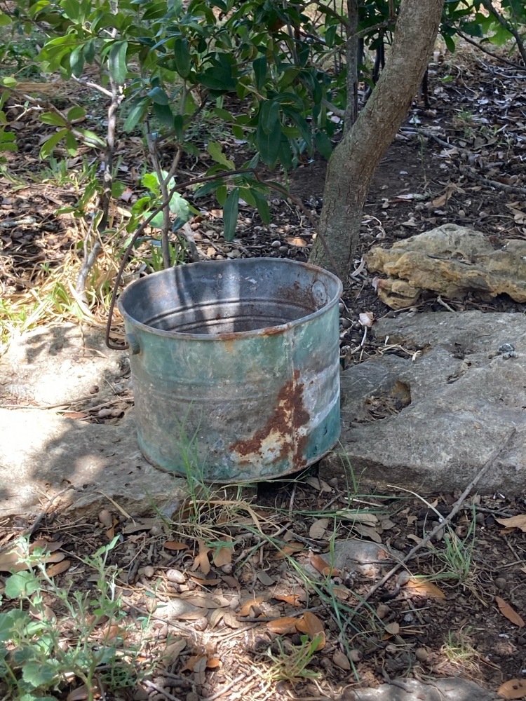 Beat up metal bucket in shade of a tree.