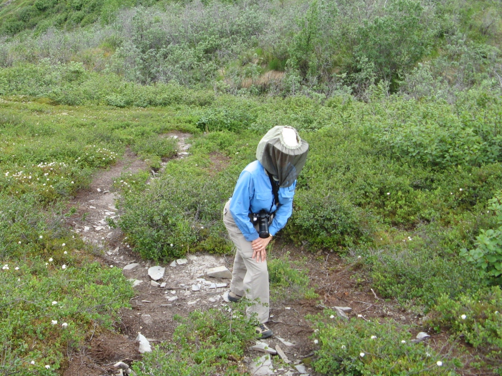 Phyllis hiking with mosquito netting over hat and head.